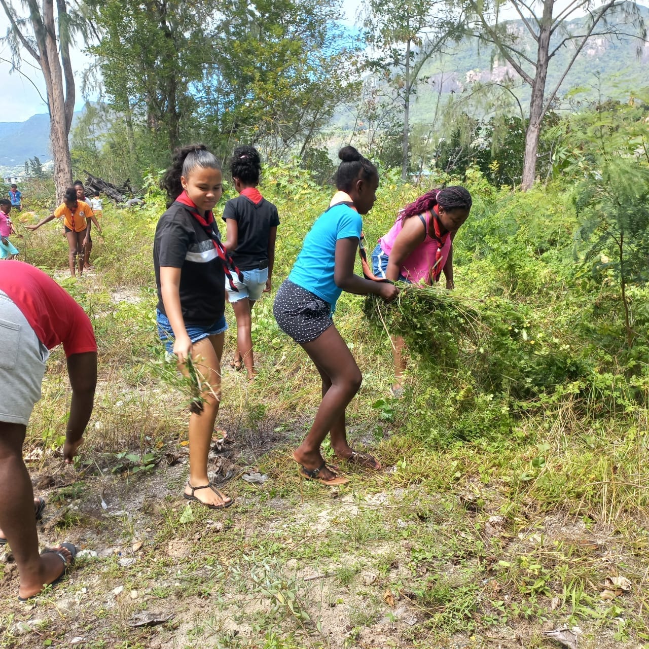 373491827_10233426481192527_9038991106898607153_n group of scouts cleaning up the ssa land