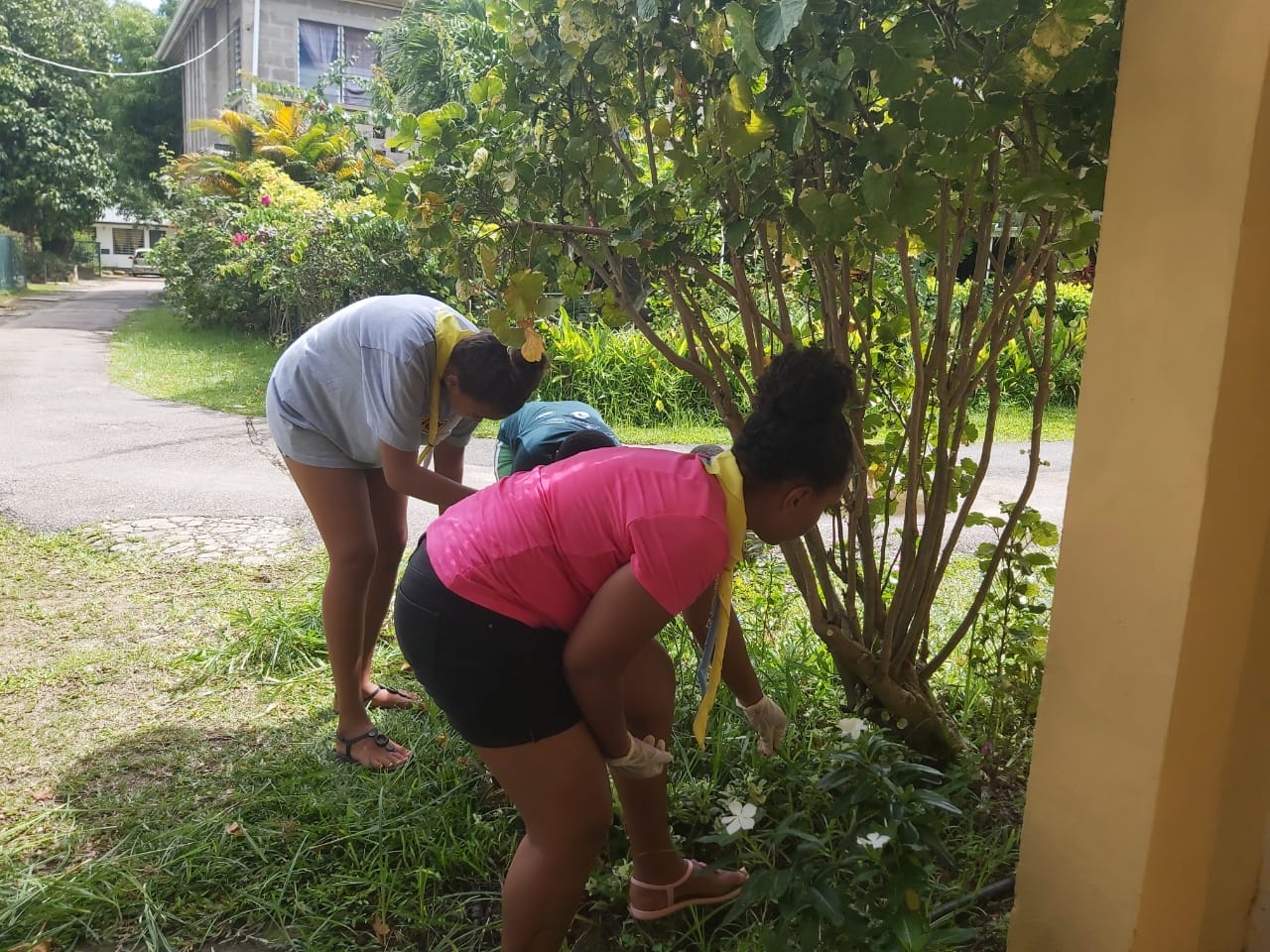 398626071_122123382686062808_4273278454434646281_n Scouts in casual attire participating in a community cleanup, weeding and caring for local plant life in a Seychelles neighborhood.